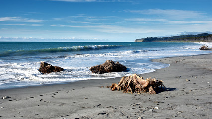 Tree Roots, Bruce Bay, NZL