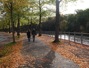 Impressionen in Halle an der Saale