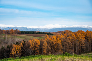 Fototapeta premium 遥か雪山