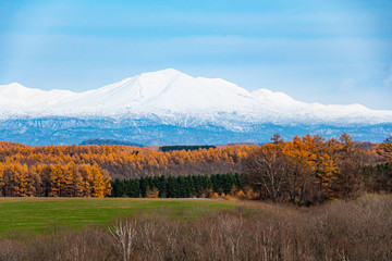 初冬の風景