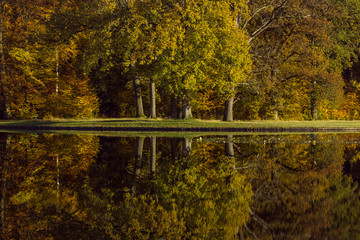 Dutch fall season beautiful reflection of trees in various colors in the water, Hoge Veluwe National Park. The Netherlands