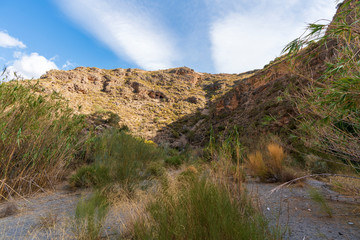 Photo of the Alcolea River as it passes through Lucainena