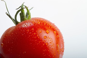 Closeup of a fresh tomato with drops of water on it