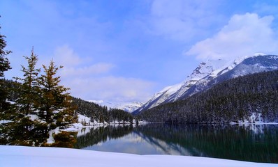 Fototapeta na wymiar Amérique du Nord, Canada, Alberta, parc national de Jasper