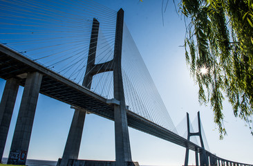 morning by lisbon bridge