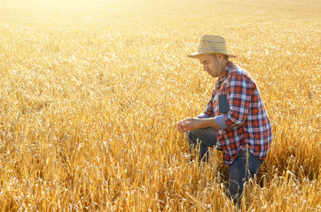 Naklejka na ściany i meble Farmer in straw hat uses his tablet pc at ready for harvest wheat field