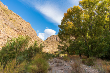 Photo of the Alcolea River as it passes through Lucainena