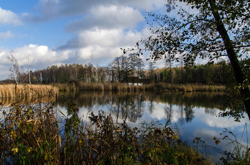 staw jesienią © wedrownik52