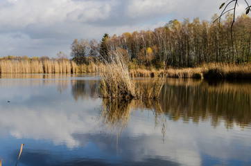 staw jesienią © wedrownik52