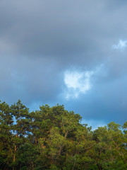 hills in the jungle with clouds in Thailand	