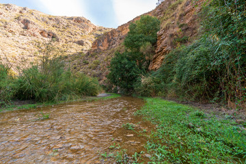 Photo of the Alcolea River as it passes through Lucainena