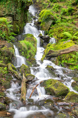 Fototapeta premium Waterfall near Burrator Reserviour, Sheepstor, Devon, UK