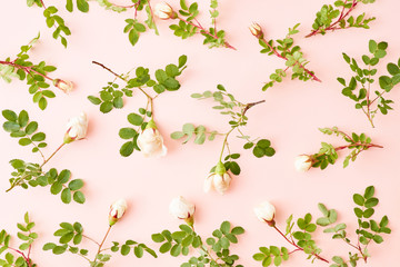 Flat lay pattern with small white flowers and green leaves on a pink background