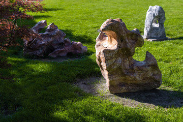 Tree and stones with sunlight on green lawn
