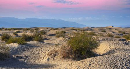 Mesquite Flat Sand Dunes