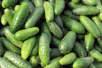 Cornichons
