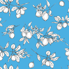 Lemon tree branch with lemons, flowers and leaves. Seamless pattern, background. Outline hand drawing vector illustration in black, white and blue colors.