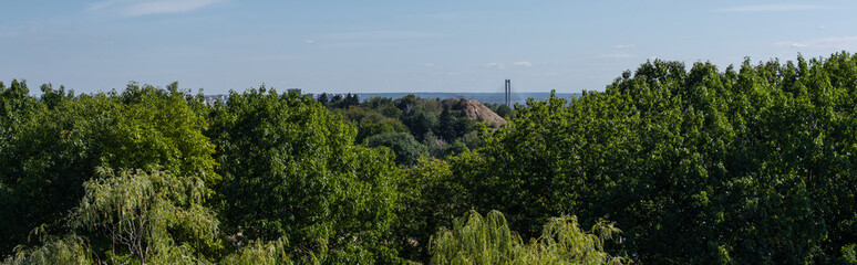 Trees with green foliage and blue sky at background, panoramic shot