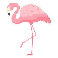 Flamingo standing on one leg flat vector illustration