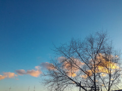 Sky