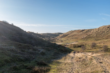 View over a dune valley with a blue sky