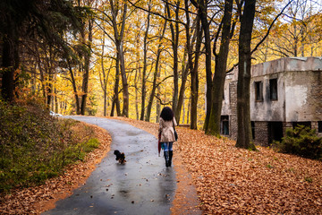 Fototapeta premium Kobieta idzie w deszczu na leśnej drodze asfaltowej jesienią. Droga obok jeziora Tresnja w Serbii.