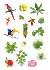Obraz premium Set of tropical plans, flowers and birds. Isolated on white background in neon, fluorescent colors. Stickers, elements for design. Colored vector illustration.