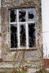 A window in an old house. Broken glass. Sharp pieces. Dirty concrete walls.