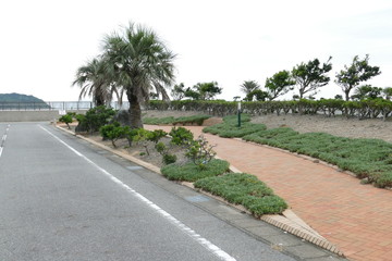 愛知県西尾市　宮崎漁港　風景