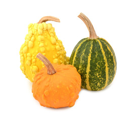 Three yellow, orange and striped green ornamental gourds