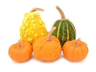 Five decorative gourds with smooth and warted skin