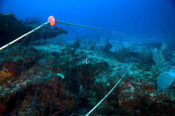 filet de peche sur recifs coralliens