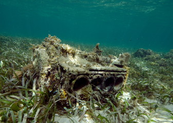 dechet sous marin moteur dans un herbier