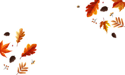 Autumn Background composition for print design. Happy Thanksgiving frame with pine and dried leaves