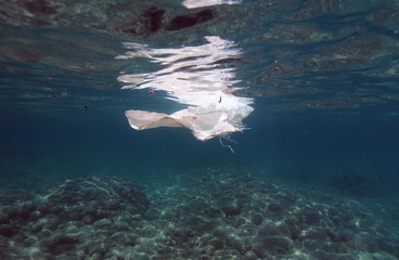 pollution marine plastique