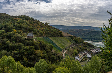 Fototapeta na wymiar view on chapelle of lorch with vineyards on rheinsteig trail in the middle rhine valley, germany