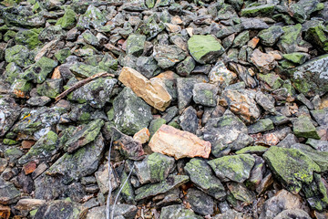 Chirats dans le Parc du Pilat