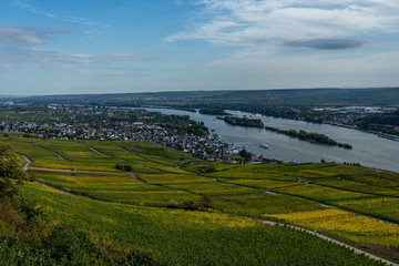Fototapeta na wymiar vineyards in ruedesheim, middle rhine valley, germany