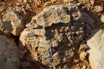 A colourful rock embedded in dirt