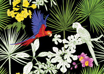 Obraz premium Tropical plants and flowers and birds. Seamless pattern, background. Colored and outline design. Vector illustration. Isolated on black background..