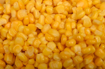 The texture of the grains of sweet corn. The pattern for the background. Fitness diet. Healthy diet. For a sweet treat. Close up.
