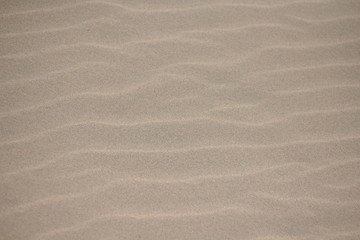 Fototapeta na wymiar sand dune background. Sand texture. Nature surface. Sand surface.