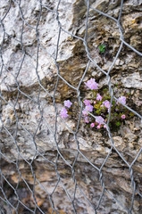 rockfall protection nets