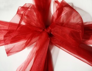 nice red bow on gift package