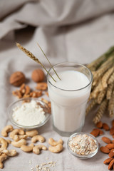 Fresh vegan alternative milk in big glass. Closeup, white background. Healthy vegetarian food concept. Almond, cachou, walnut, oatmeal, coconut to illustrate raw ingredients. Copy space for text