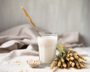 Fresh vegan oat milk in big glass. Closeup, white wooden background. Healthy vegetarian food...