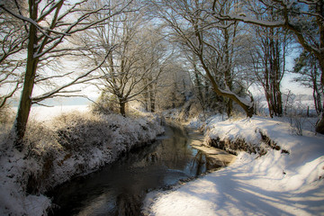 Snow covered trees and river banks, Marden, Kent, England