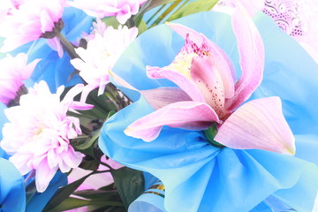 Flowers on a blue background.