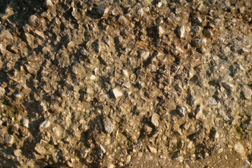 texture of finished cement with crushed stone