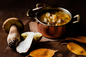 Delicious hot porcini soup in copper pan. Tasty seasonal autumn meal. Fresh mashrooms illustrate ingredients. Concept of homemade food, cozy family afternoon. Closeup, dark wooden background